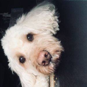 Meet your Posher, Kaitlyn